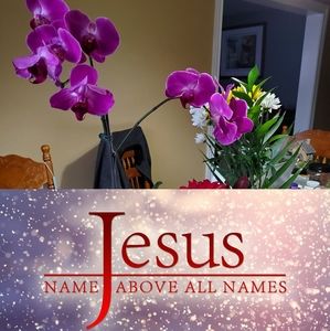 Meet your Posher, Dorothy